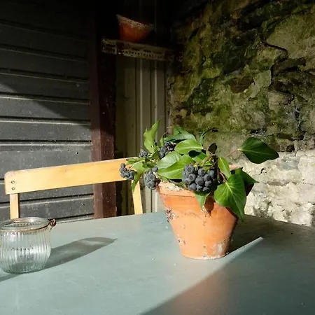 Zeller Kehr Holiday home Zell an der Mosel