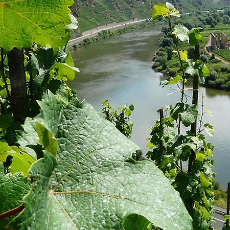 Zeller Kehr Holiday home Zell an der Mosel