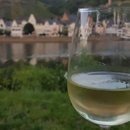 Holiday home Zeller Kehr Zell an der Mosel